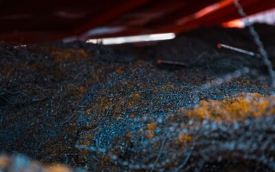 Gli scarti delle tornerie: come recuperarli e smaltirli