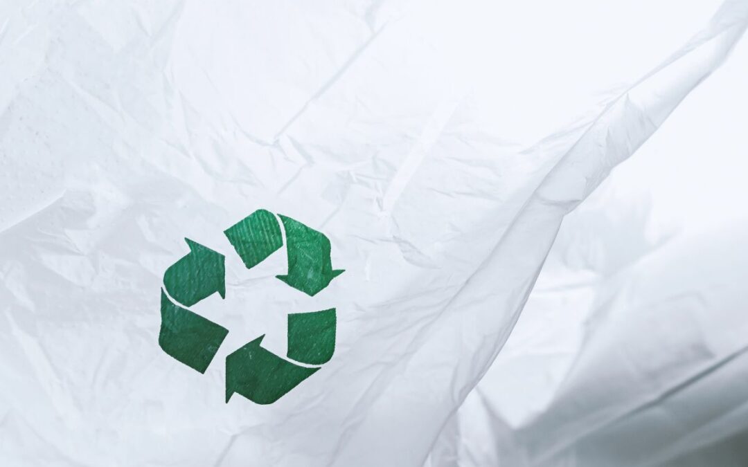Smaltimento della Plastica: Come si Può Riciclare?
