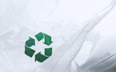 Smaltimento della Plastica: Come si Può Riciclare?